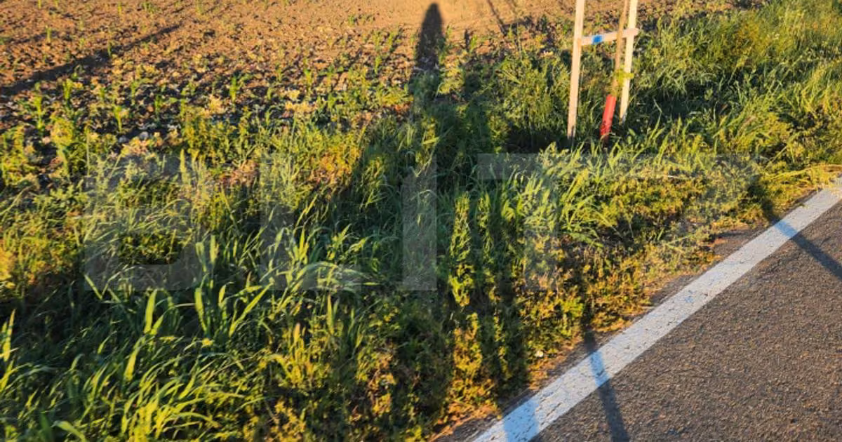 Teren agricol extravilan de vânzare de 10000 mp, în Săcălaz