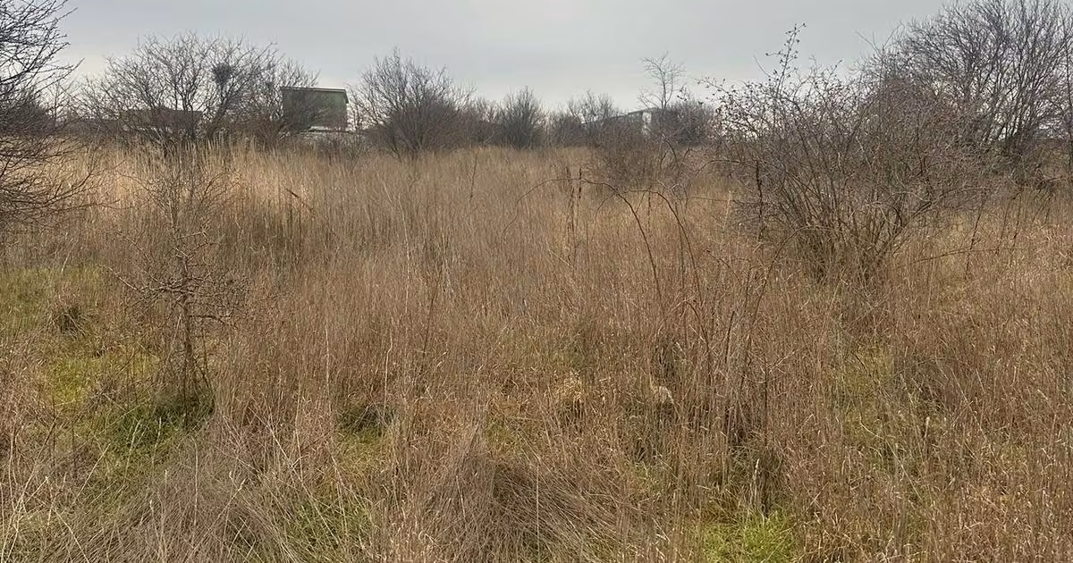 Teren intravilan de vânzare de 500 mp, în Agigea