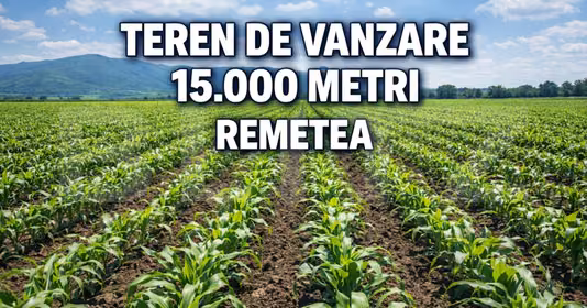 Teren Remetea Mare