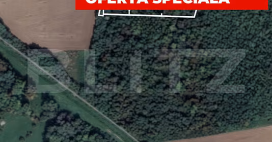 Teren Șag