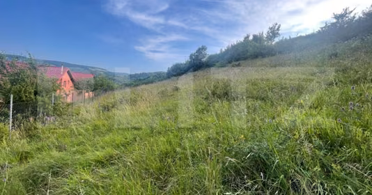 Teren Tăuți