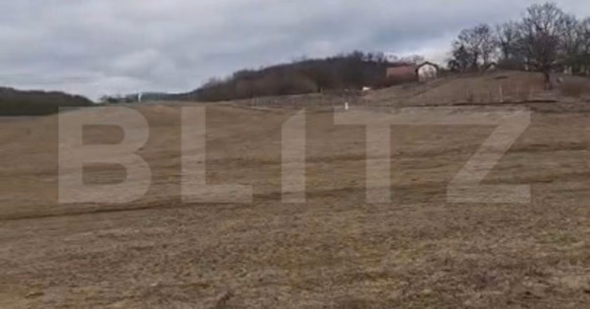 Teren Construcții extravilan de vânzare de 7500 mp, în Baciu