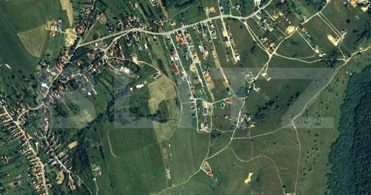 Teren Construcții intravilan de vânzare de 6000 mp, în Sălicea