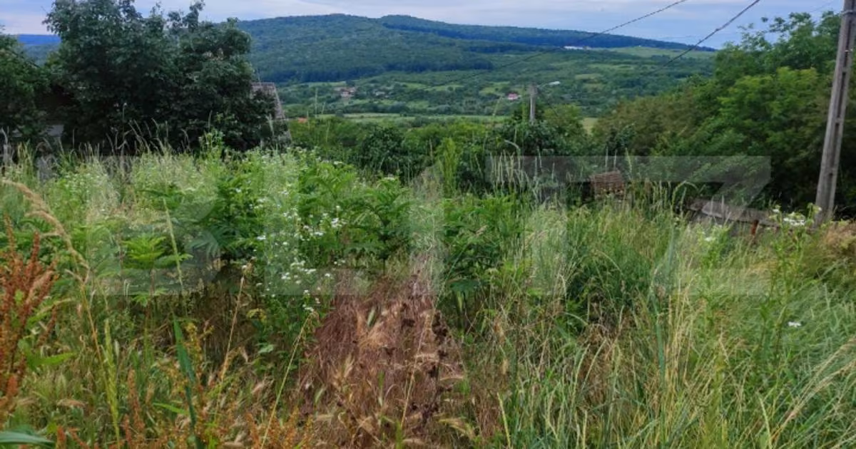 Teren Construcții intravilan de vânzare de 1524 mp, în Bârnova