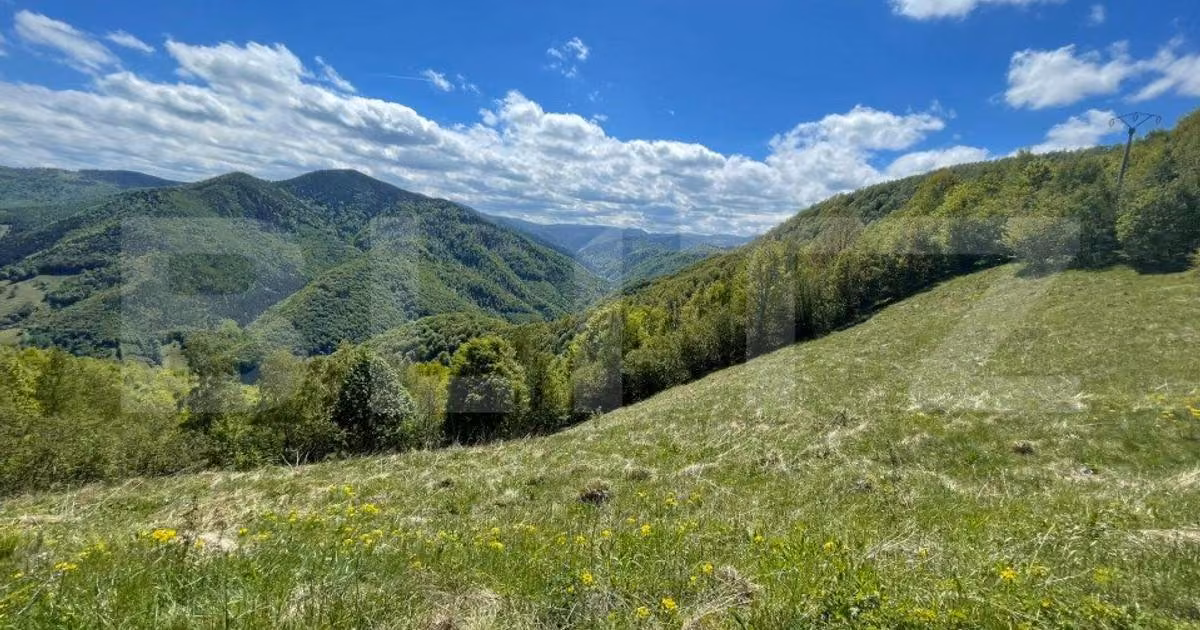 Teren agricol extravilan de vânzare de 6000 mp, în Valea Ierii