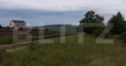 Teren Valea Lupului