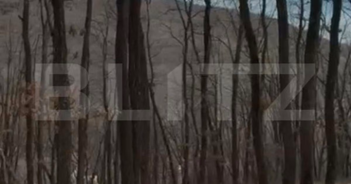 Teren extravilan de vânzare de 3300 mp, în Sălicea