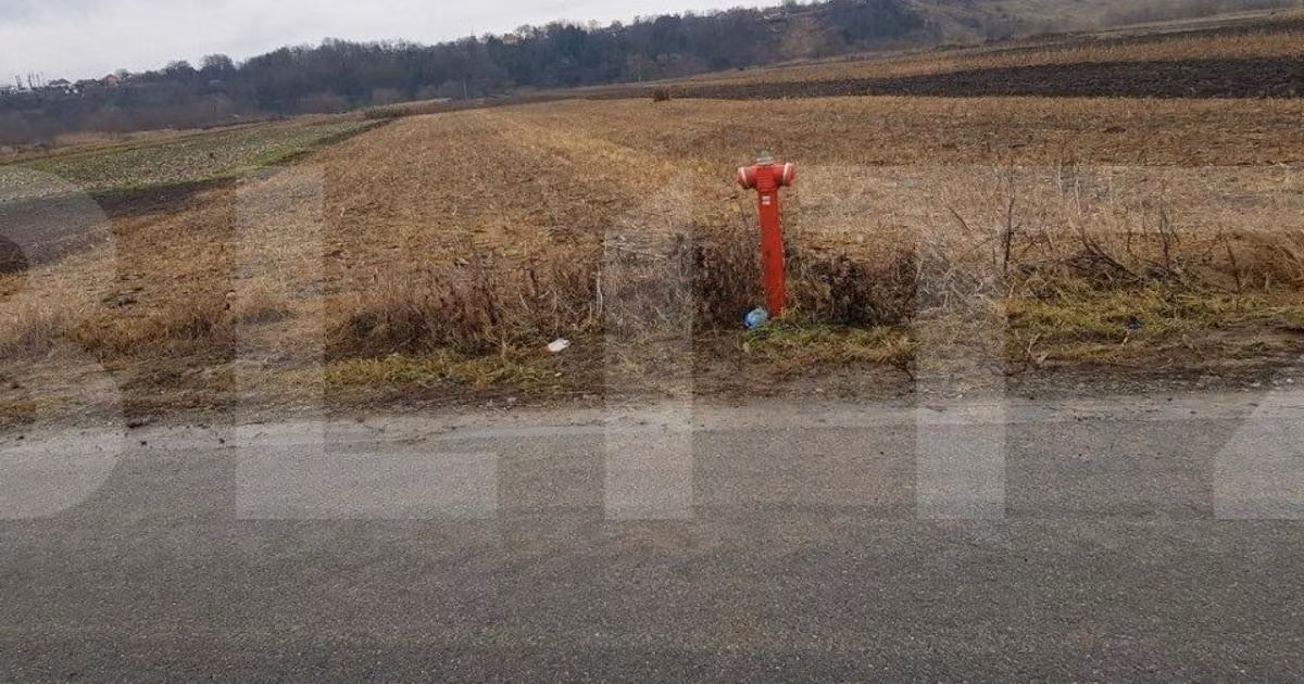 Teren Construcții intravilan de vânzare de 4000 mp, în Jucu