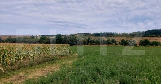 Teren Răscruci