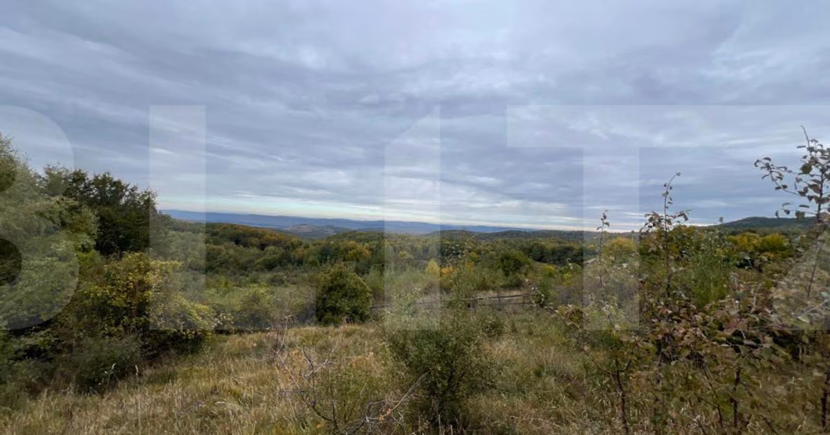 Teren Construcții intravilan de vânzare de 1000 mp, în Ciurila
