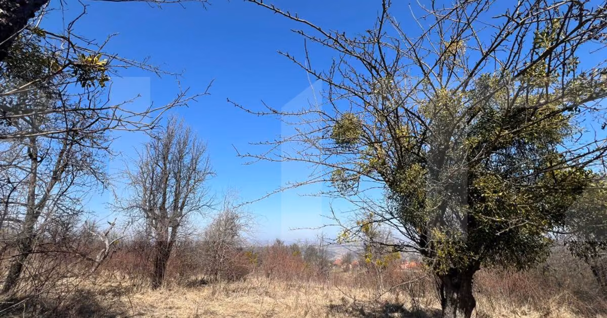 Teren agricol intravilan de vânzare de 7052 mp, în Gheorghieni