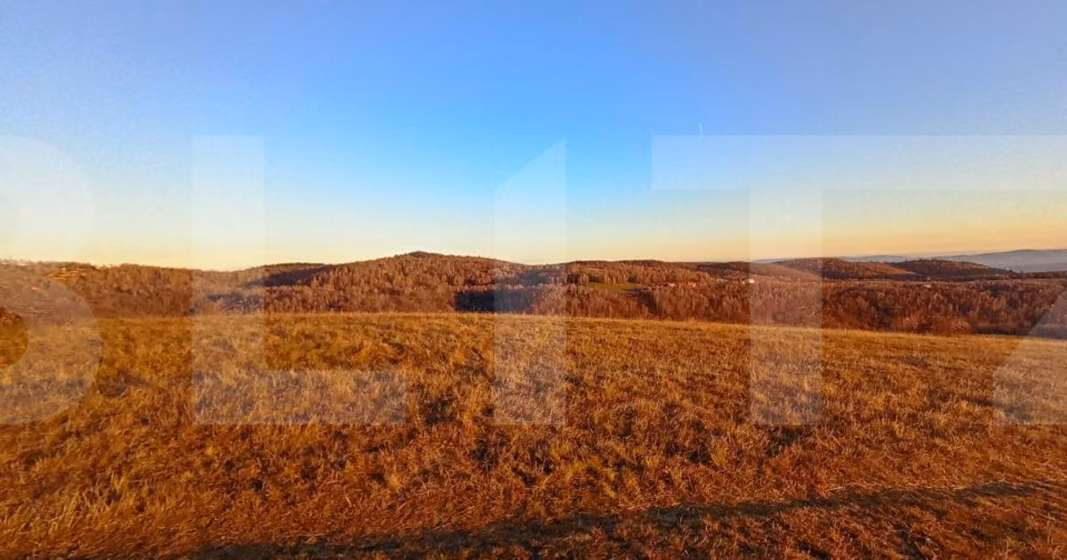 Teren agricol extravilan de vânzare de 8600 mp, în Sălicea