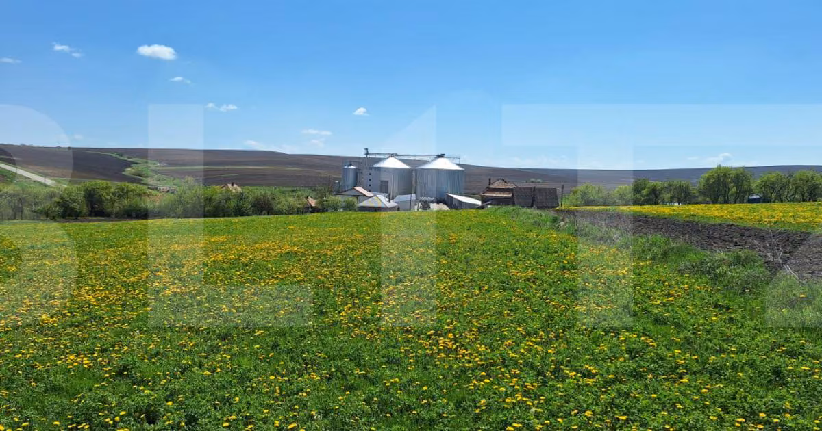 Teren agricol intravilan de vânzare de 3055 mp, în Rediu