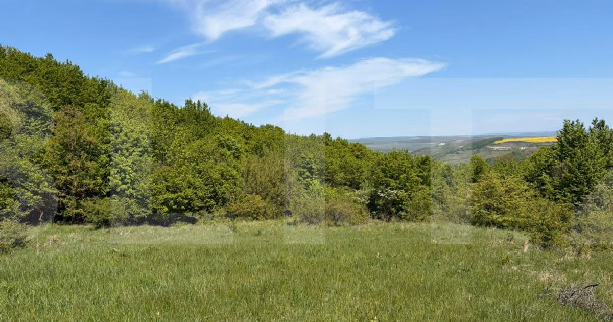 Teren extravilan de vânzare de 1848 mp, în Chinteni