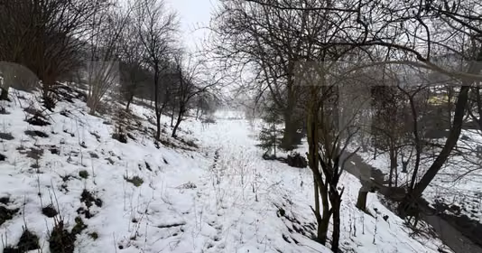 Teren Bună Ziua