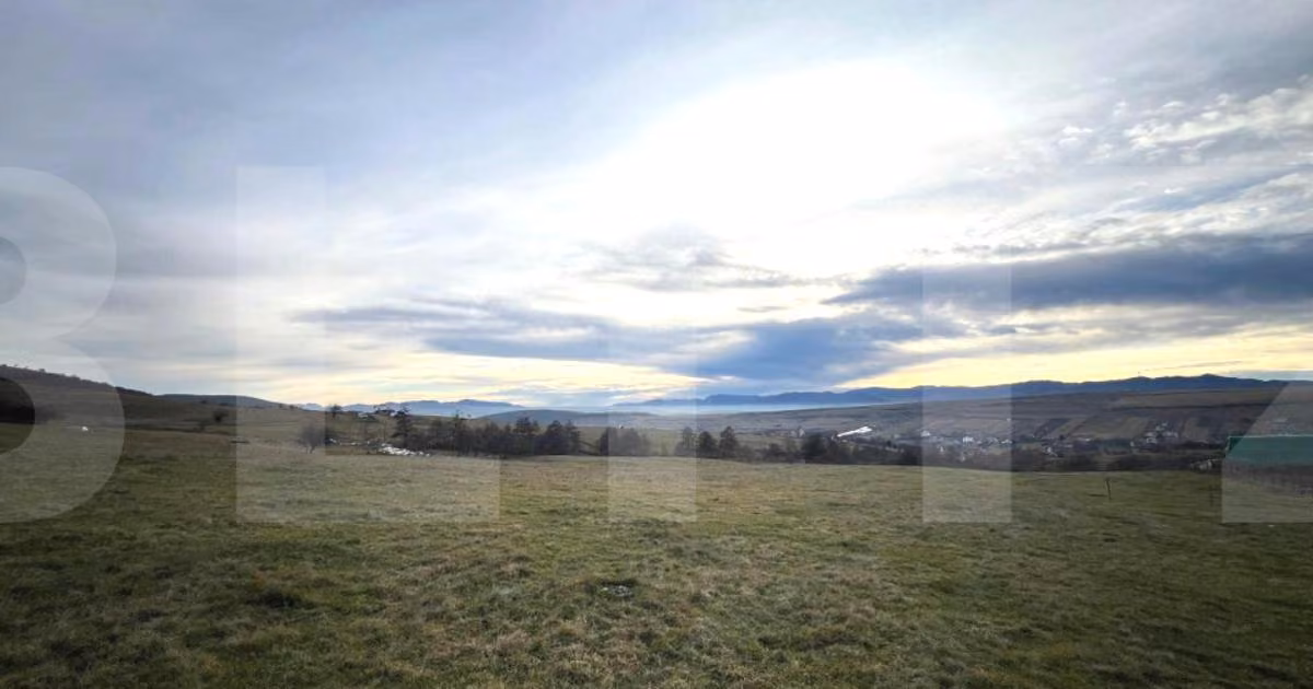 Teren Construcții intravilan de vânzare de 8000 mp, în Ciurila