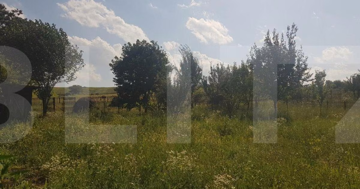 Teren Construcții intravilan de vânzare de 11600 mp, în Apahida