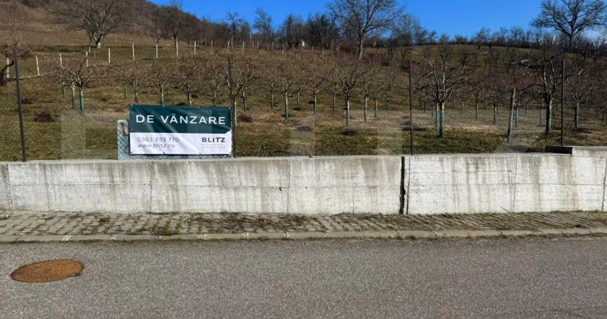 Teren Construcții intravilan de vânzare de 3001 mp, în Dej