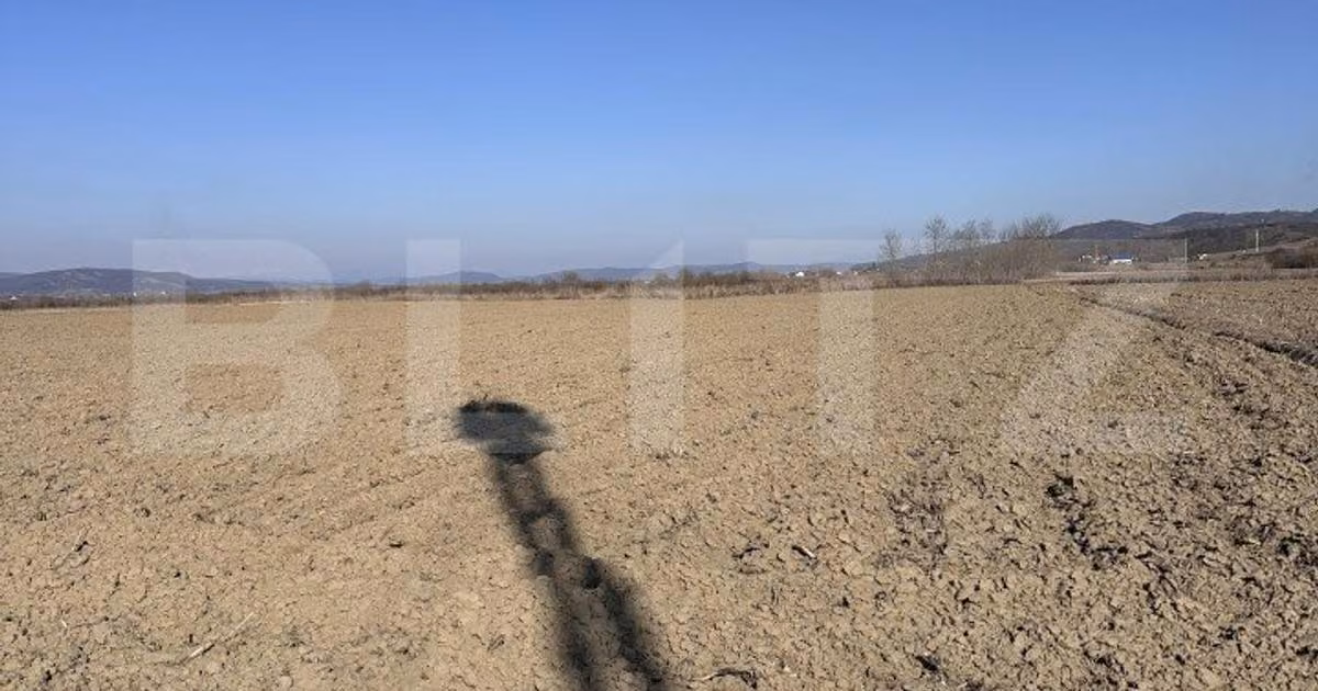 Teren agricol extravilan de vânzare de 8100 mp, în Dej