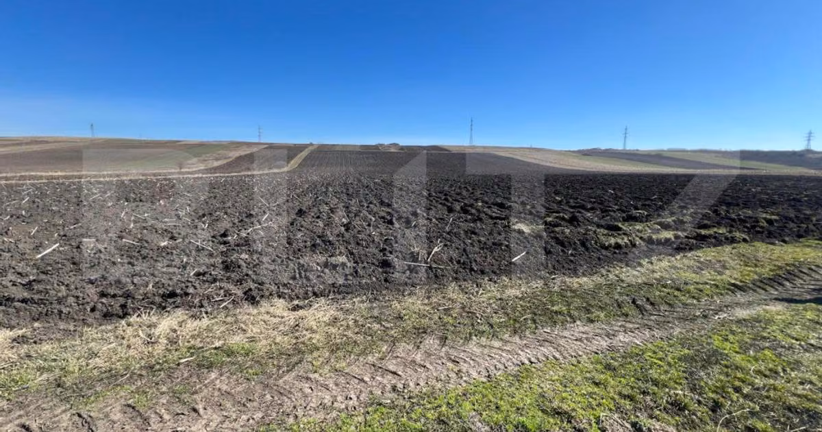 Teren agricol extravilan de vânzare de 26000 mp, în Bonțida