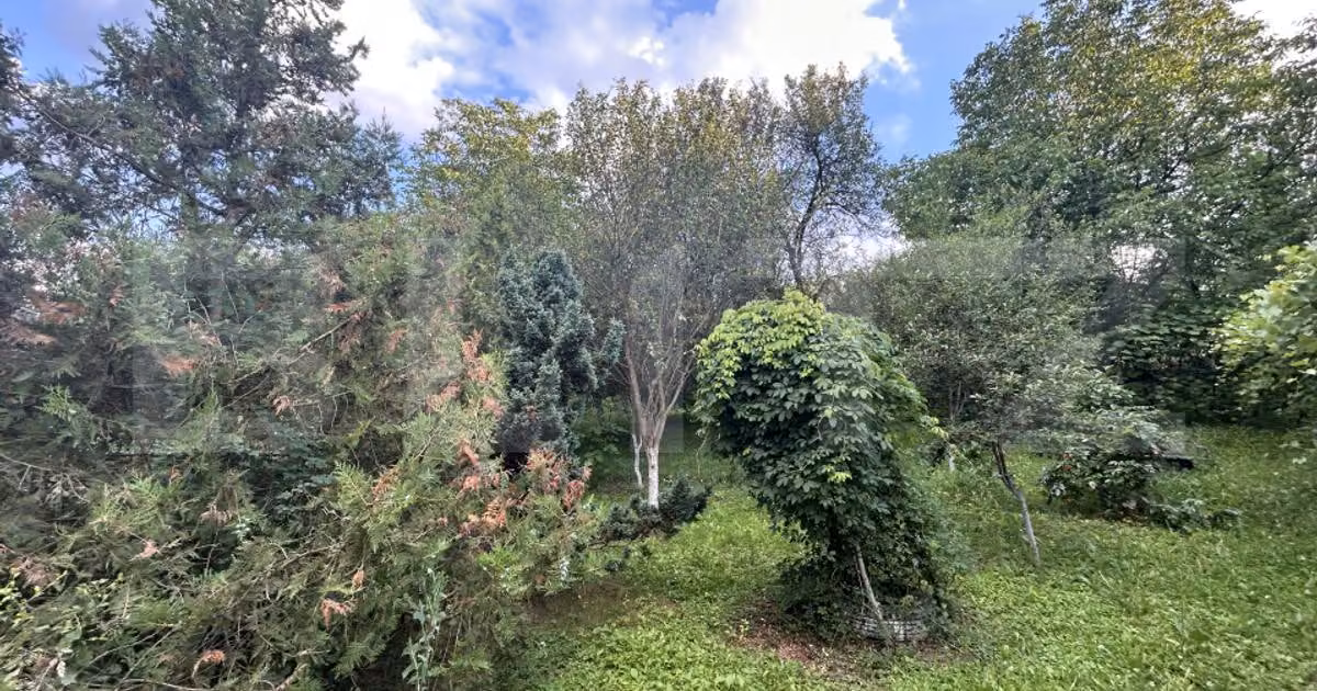 Teren · 104 m², Gherla, Gherla