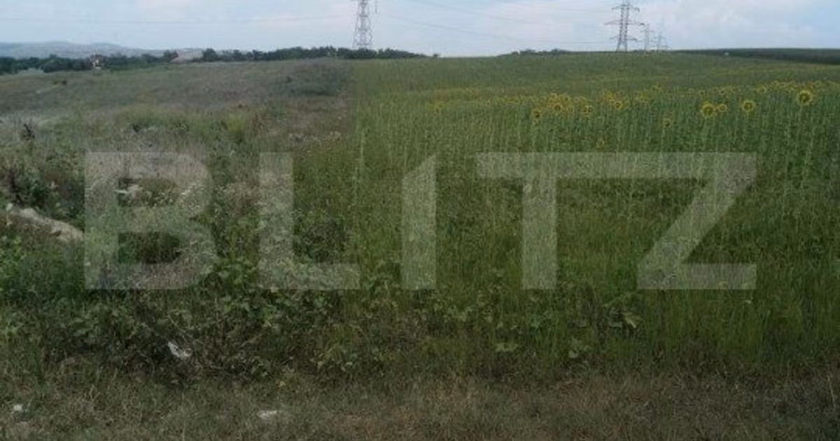 Teren Construcții intravilan de vânzare de 2900 mp, în Jucu de Sus