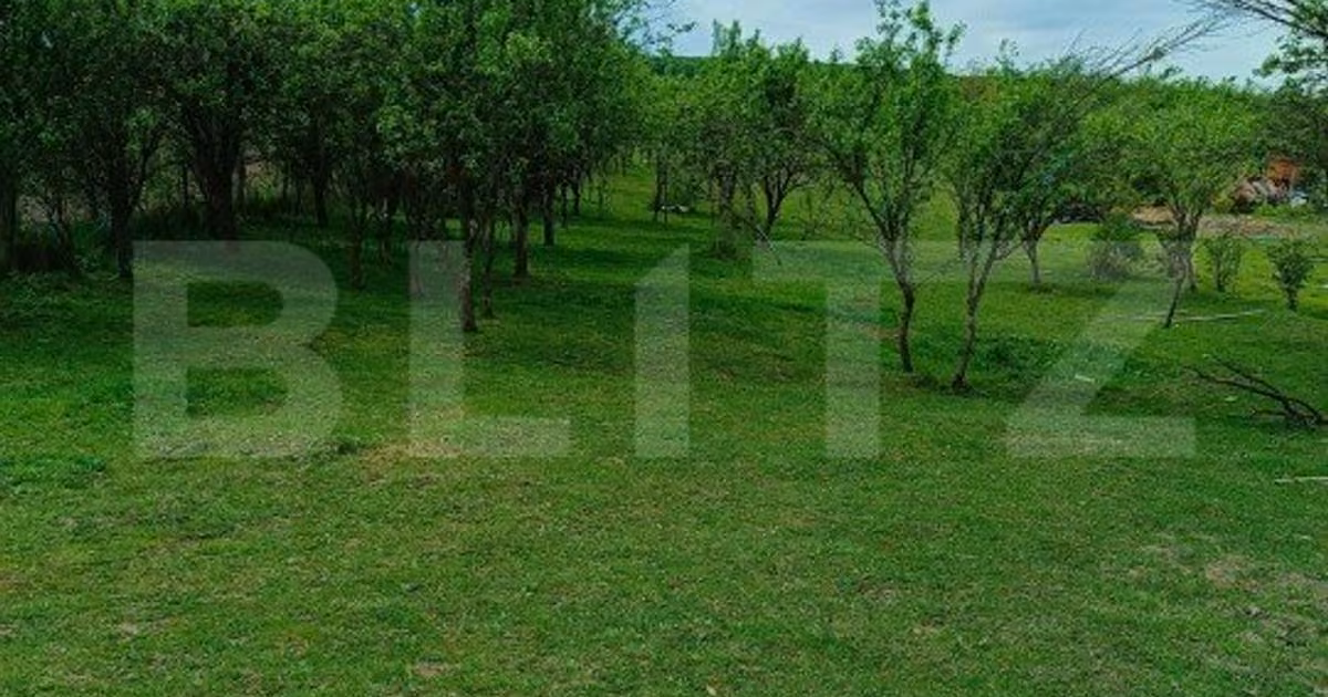 Teren agricol intravilan de vânzare de 3000 mp, în Dej