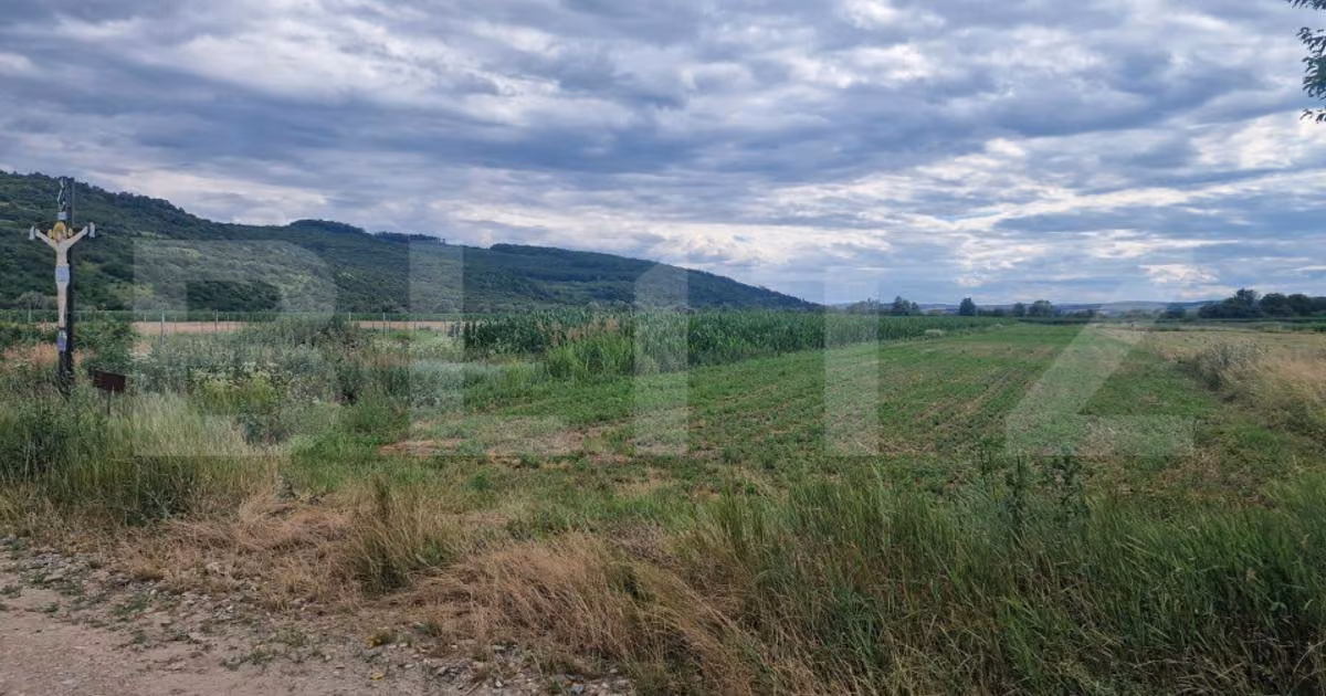 Teren Construcții intravilan de vânzare de 4300 mp, în Livada (Iclod)