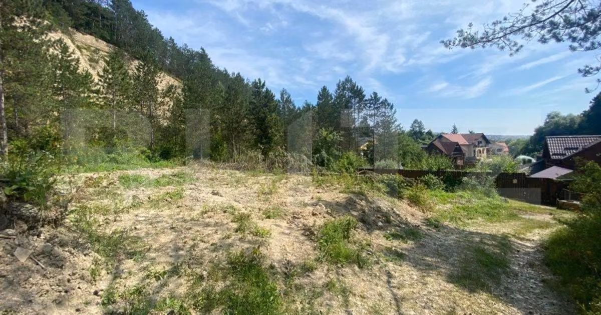 Teren Construcții intravilan de vânzare de 743 mp, în Baciu