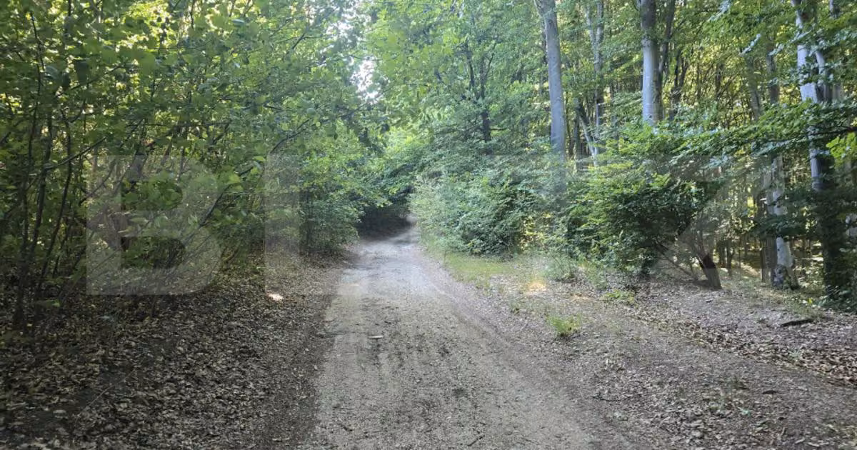 Teren agricol extravilan de vânzare de 782 mp, în Ciurila
