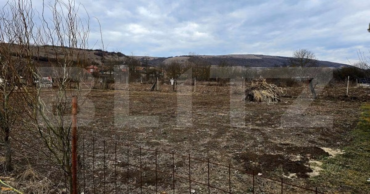 Teren Construcții intravilan de vânzare de 700 mp, în Baciu