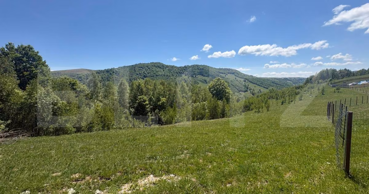 Teren Construcții intravilan de vânzare de 5000 mp, în Muntele Băișorii