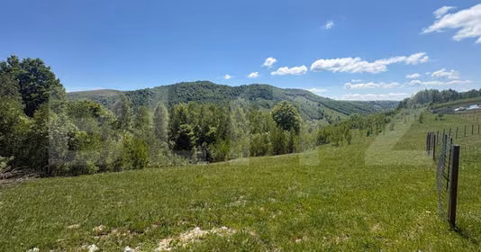 Teren Muntele Băișorii