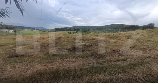 Teren Podu Oltului