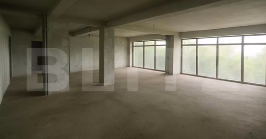 Spațiu comercial Baciu