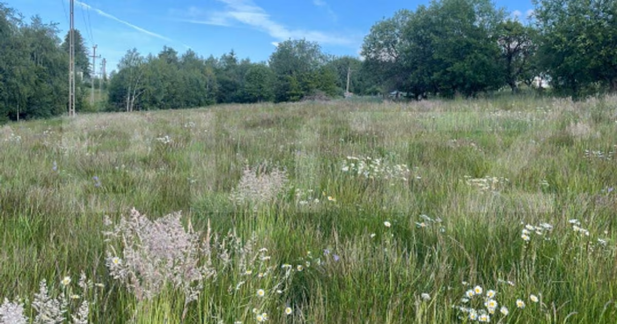 Teren agricol extravilan de vânzare de 5212 mp, în Dealu Negru