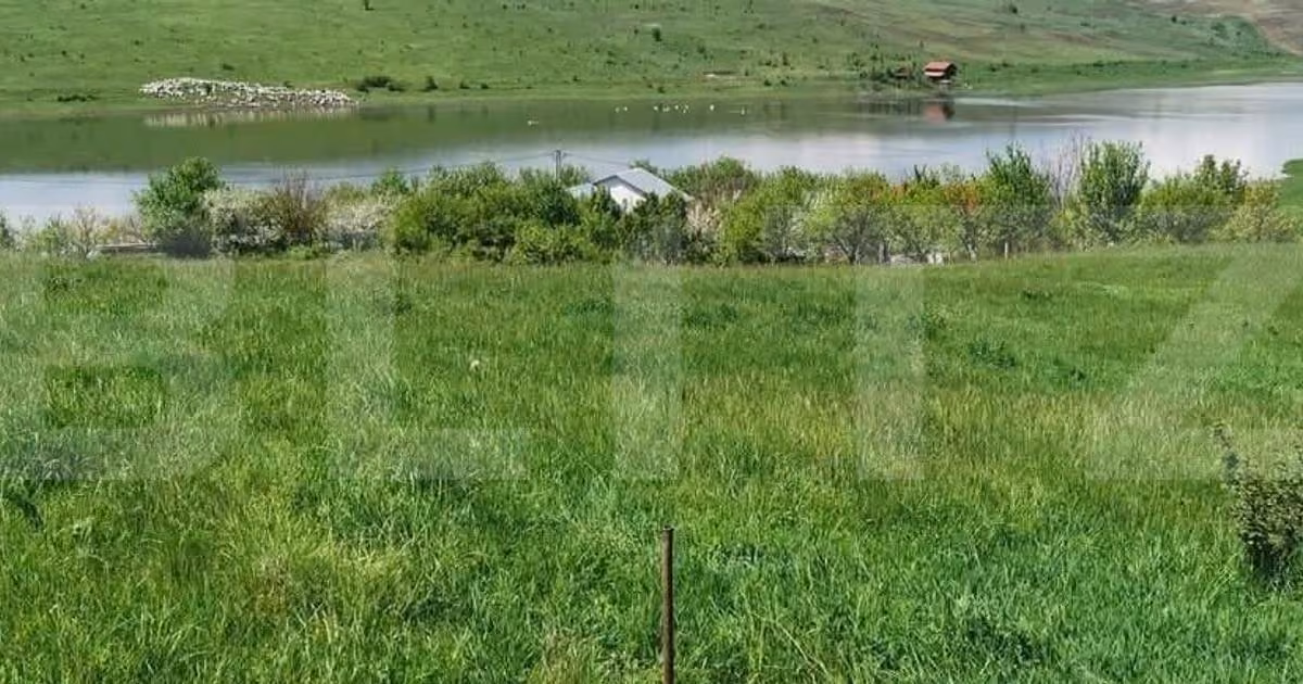 Teren Construcții intravilan de vânzare de 1600 mp, în Câmpenești