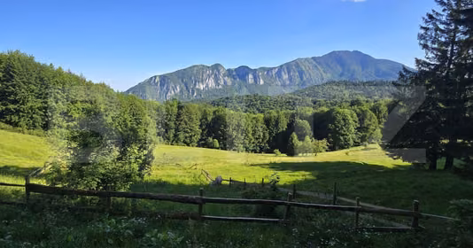 Teren Vlădeț - Trei Brazi