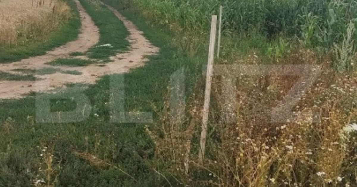 Teren agricol extravilan de vânzare de 10000 mp, în Cristian