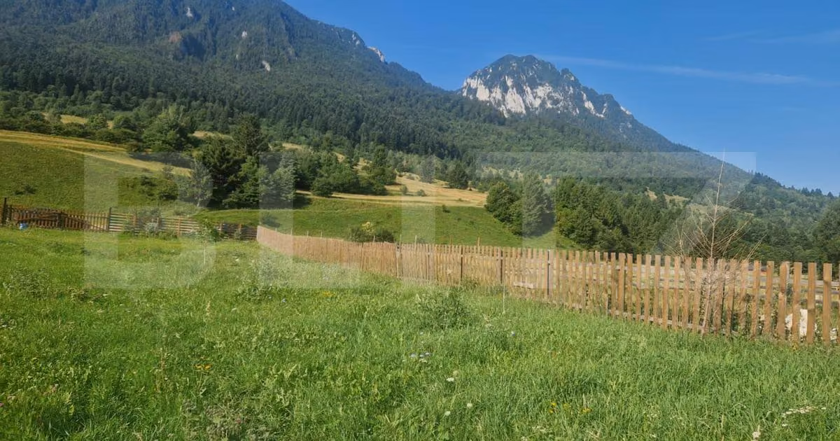 Teren Construcții intravilan de vânzare de 1004 mp, în Zărnești