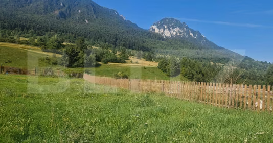 Teren Zărnești