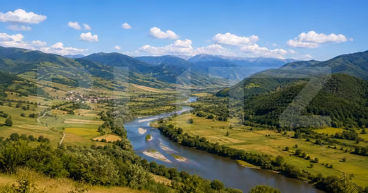 Teren Viștișoara