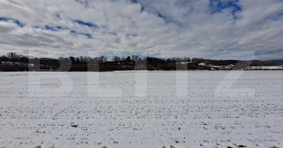 Teren agricol intravilan de vânzare de 10640 mp, în Vulcan