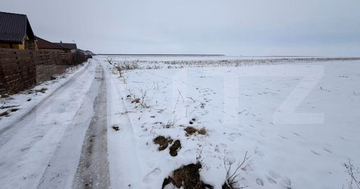 Teren agricol extravilan de vânzare de 9000 mp, în Tărlungeni