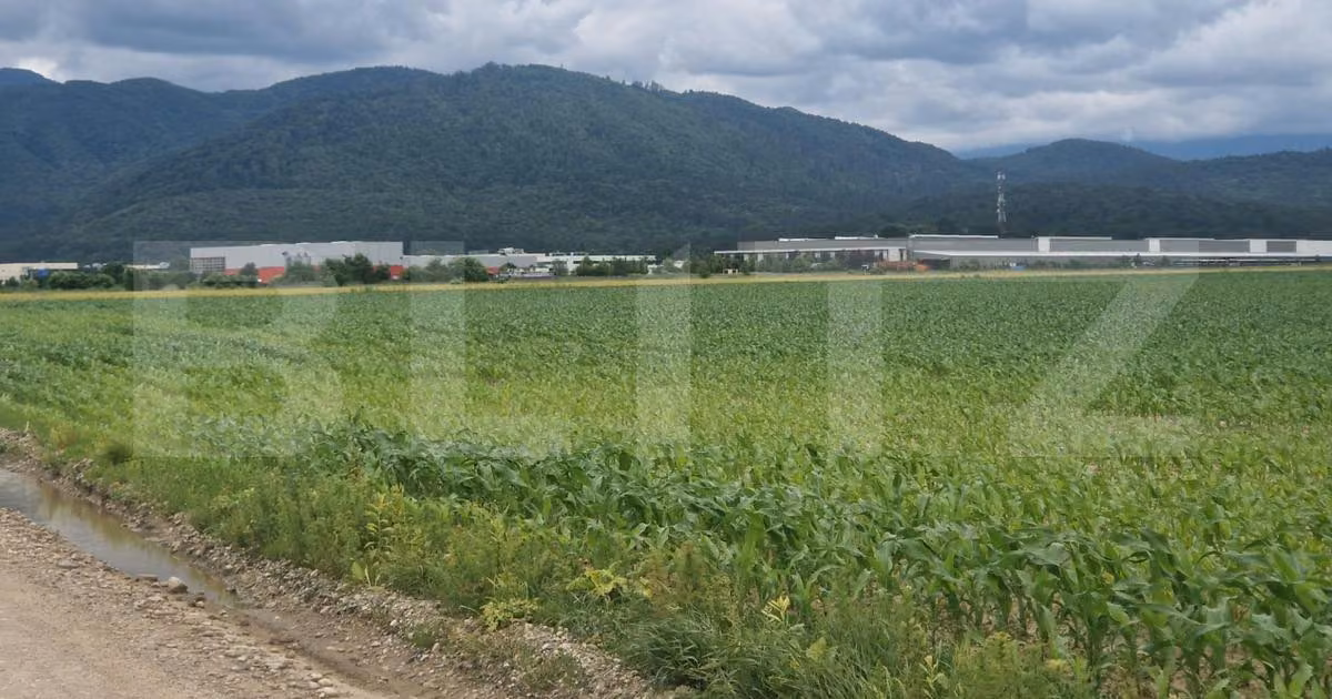Teren agricol extravilan de vânzare de 12000 mp, în Ghimbav