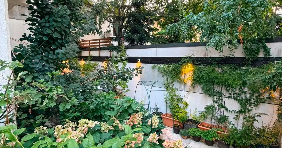 Apartament de vânzare cu 3 camere în zona 1 Mai, Sector 1