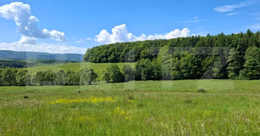 Teren Dumbrăvița
