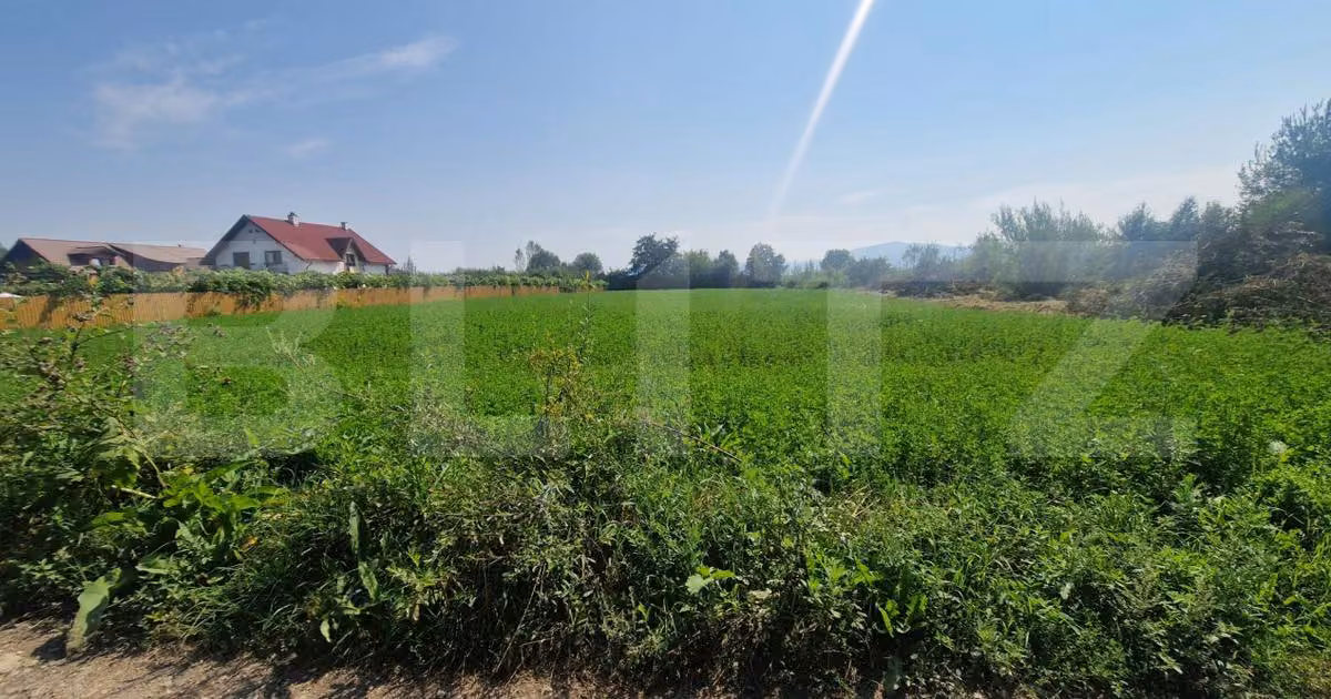 Teren Construcții intravilan de vânzare de 3800 mp, în Prejmer