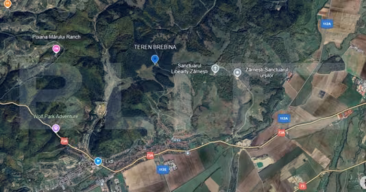 Teren Brebina