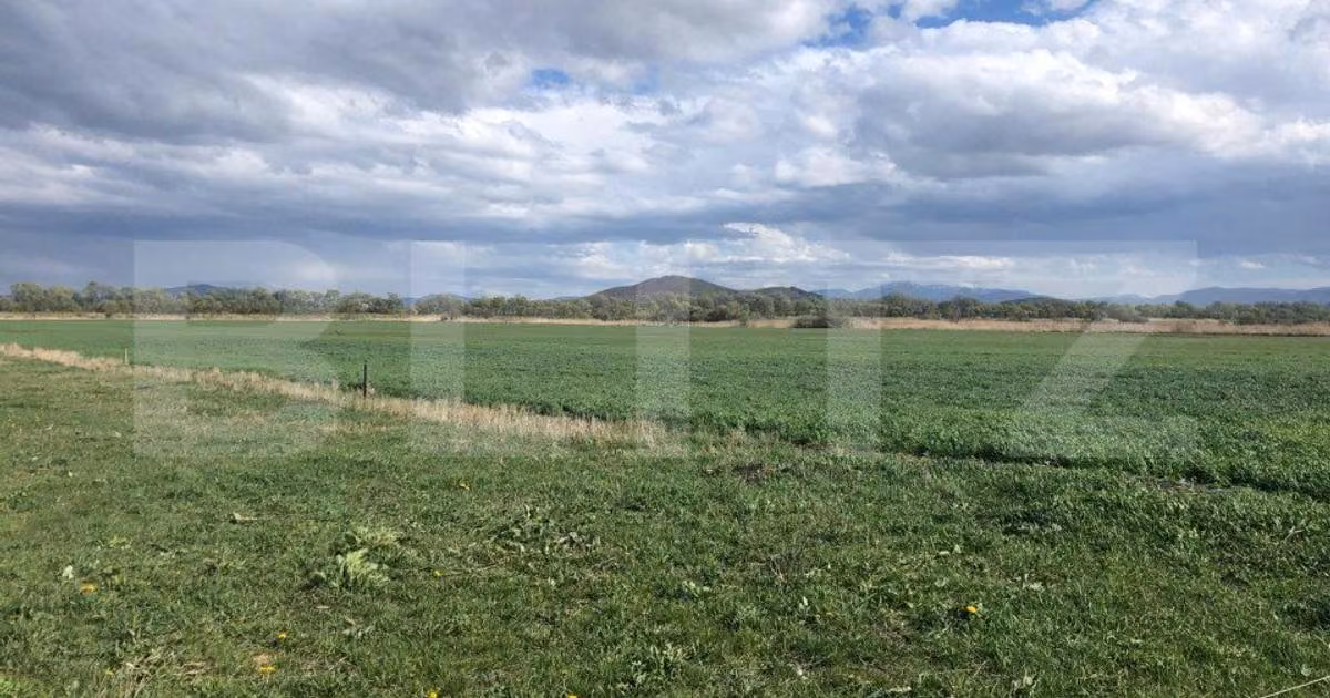 Teren agricol extravilan de vânzare de 50000 mp, în Bod